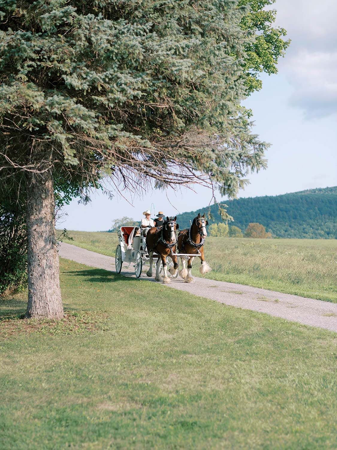 Wedding photo at The Sablewood — Michelle & Bill