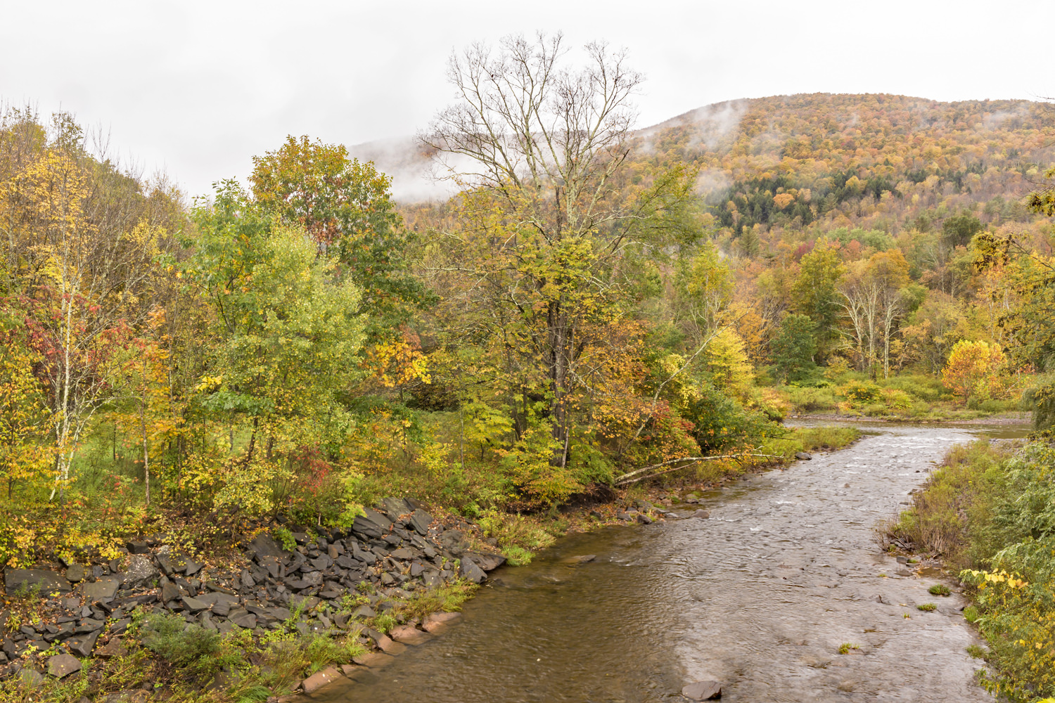 East Kill Schoharie Creek Confluence, Schoharie County, NY