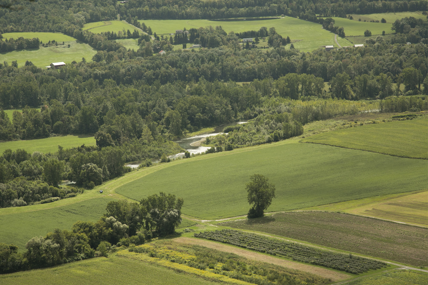 The Sablewood at Highview Springs